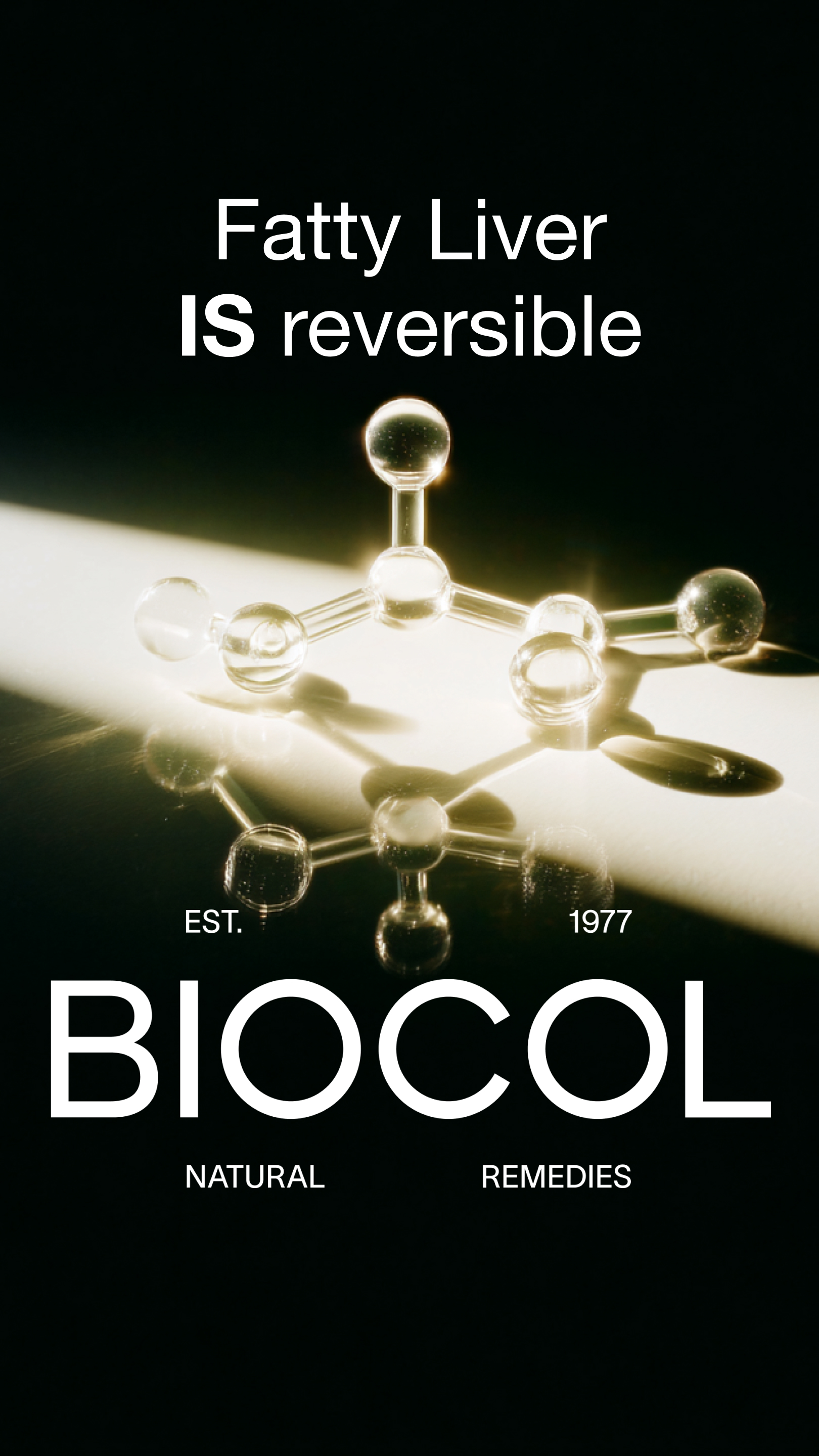 Biocol Fatty Liver